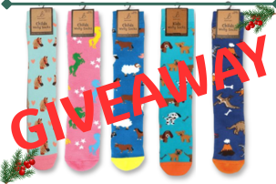 GIVEAWAY - 10 Pairs of socks